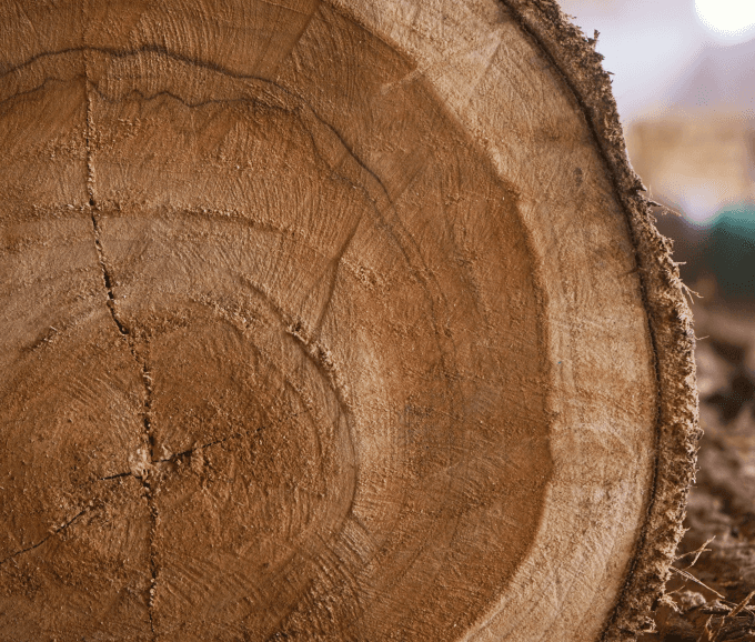 Earth Jewel Triconville