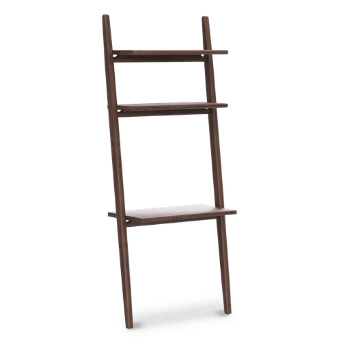Endra Ladder Shelf With Writing Desk