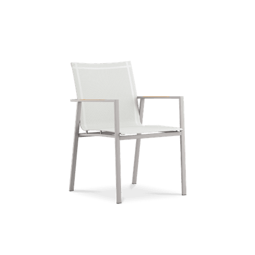 Alzette Dining Armchair SS Powder Coated