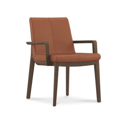 Carin Dining Chair - Leather