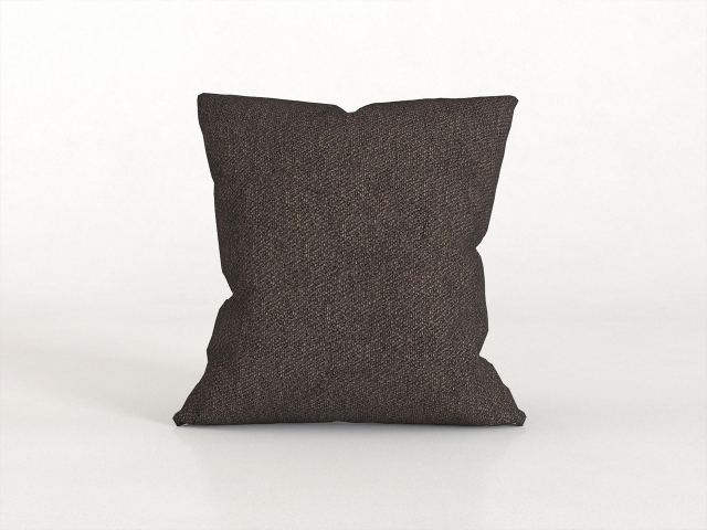 Canvas Throw Pillow