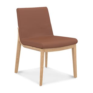 Carin Side Chair - Leather