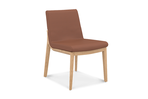 Carin Side Chair - Leather