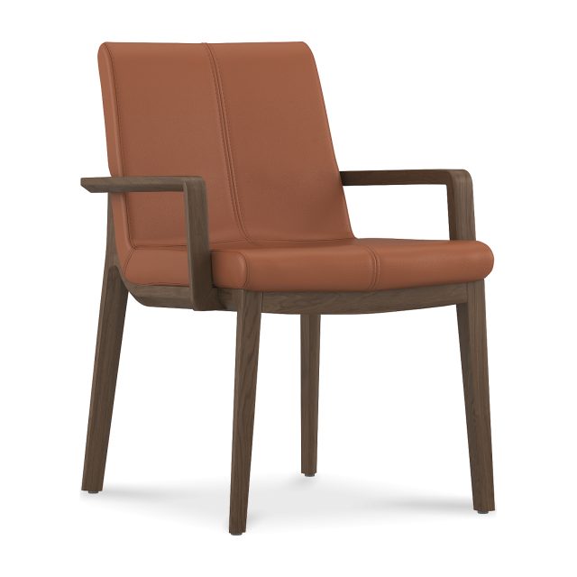 Carin Dining Chair - Leather
