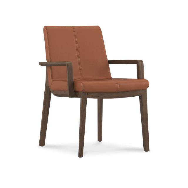 Carin Dining Chair - Leather
