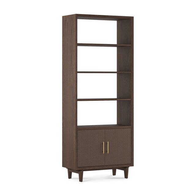 Dane Bookshelf With Cabinet