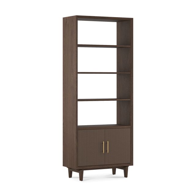 Dane Bookshelf With Cabinet