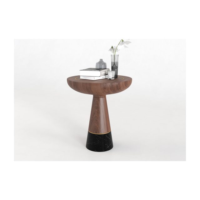 Fungi Accent Table