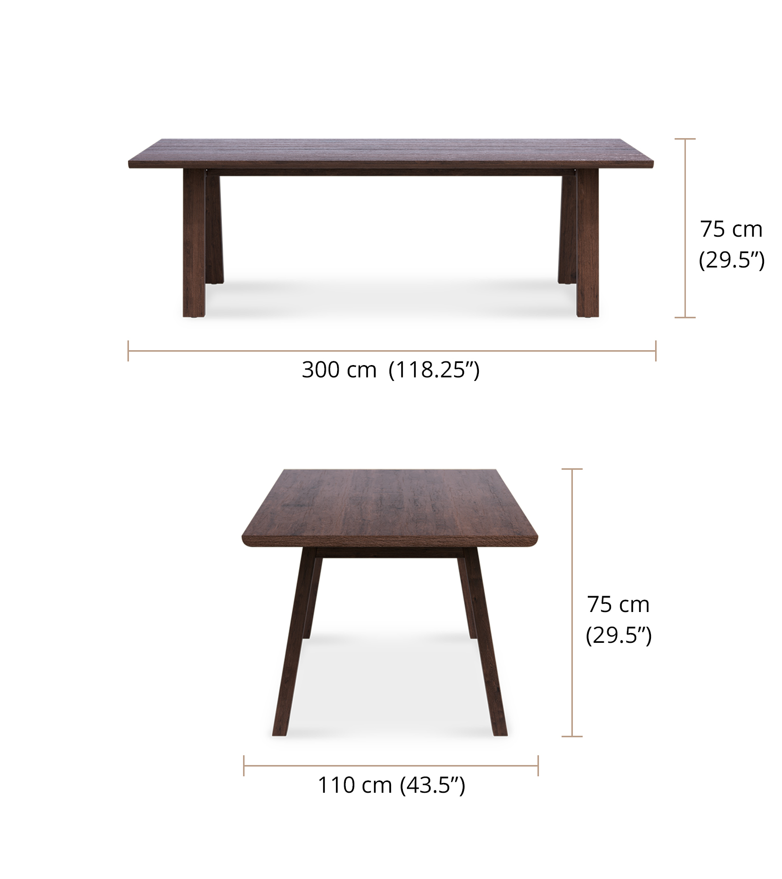 Rilley Big Dining Table 300 dimensions