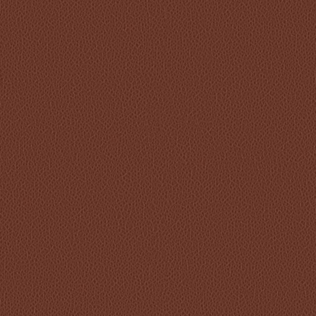Brown Leather