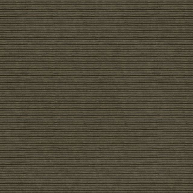 Nimora Olive